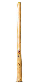 Medium Size Natural Finish Didgeridoo (TW1710)